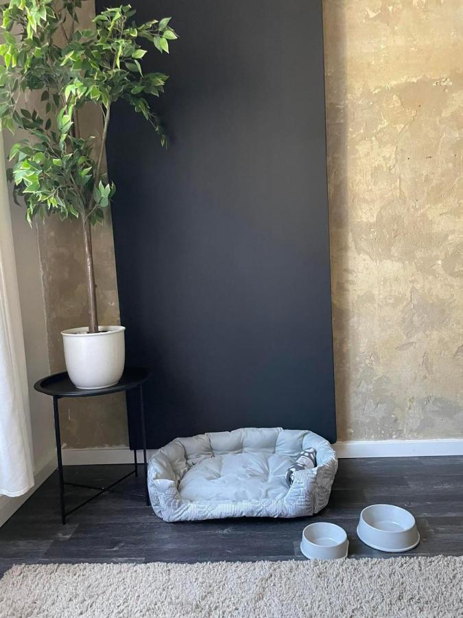 بودابست Spacious Apartment Almassy المظهر الخارجي الصورة