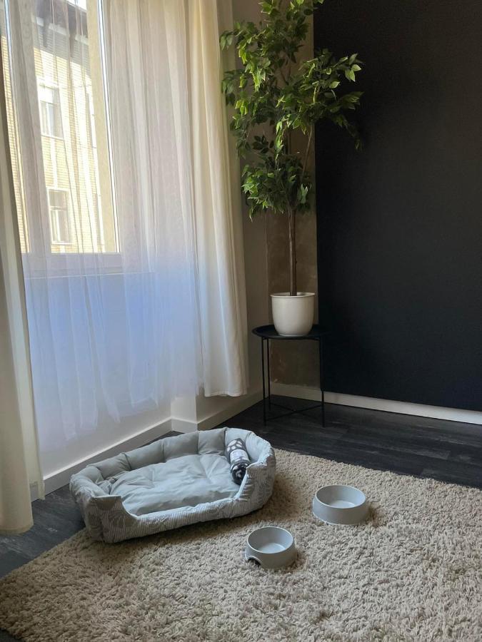 بودابست Spacious Apartment Almassy المظهر الخارجي الصورة